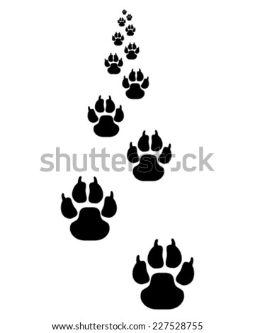 Black footprints of dog, vector illustration