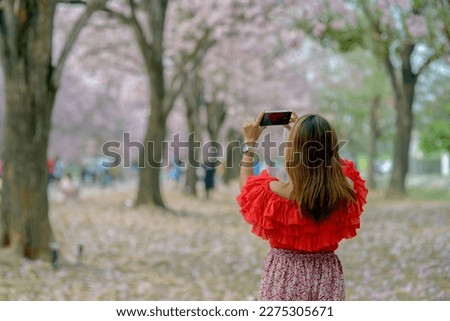 long haired woman wearing red shirt Standing under the Chomphuphanthip tree In his hand was a mobile phone pretending to take a picture of the flowers.