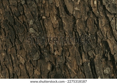 The texture or rugged bark of a tree is similar to the interweaving of brown tiles, as pictured in a close-up style. This can be used for background design and 3D object surface work.