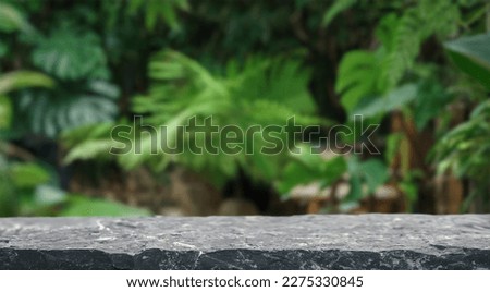 Stone podium table top floor on outdoors blur monstera tropical forest plant nature background.Organic healthy natural product placement pedestal display,spring or summer jungle concept. Royalty-Free Stock Photo #2275330845