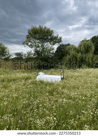 Photo session area: Bed in the middle of blooming nature in the park. Idea for photography in nature. Scenery from a dream