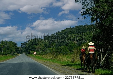 Two cowboys riding on a sunny afternoon along a rural road in Brazil. Back view. With copy space.