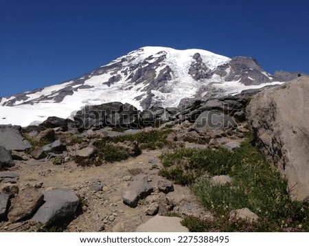 Wilderness View, Mount Rainier to Camp Muir