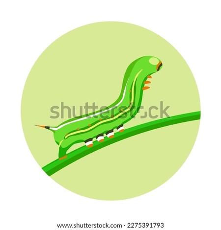 Green caterpillar crawling on a leaf. Butterfly larva. Insect pest. Striped color. Animals and wildlife. Vector cartoon illustration close up