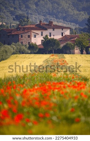 beatifull landscape of lake Trasimeno, Umbria, Italy Royalty-Free Stock Photo #2275404933
