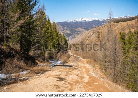 Road uphill with large stones in the background of the forest and mountains, off-road in Altai, Russia. High quality photo