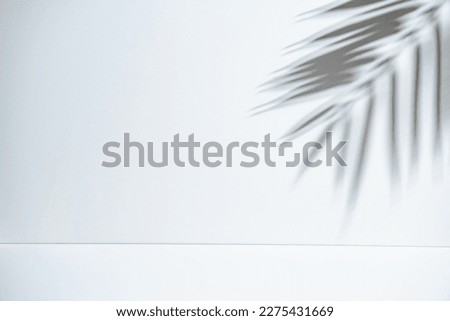Empty palm silhouette blue stripes cement wall texture use for business presentation natural organic cosmetic products for online shop sale summer tropical beach with minimal concept Royalty-Free Stock Photo #2275431669