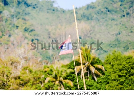 flag on grass, beautiful photo digital picture