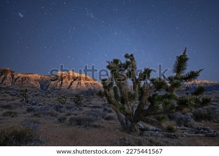 Stars over Red Rock Canyon National Conservation Area near Las Vegas, Nevada