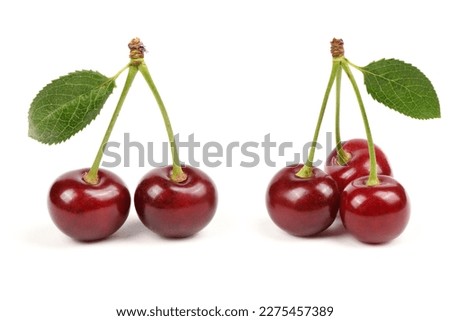 Collection of cherries with green leaf isolated on white background, side view. Extrem close-up. High resolution photo. Full depth of field.