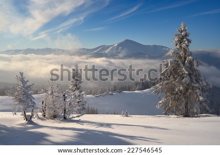 Winter landscape in the mountains. Snow scene pictures. Snowy Christmas  view. Morning mist in the valley