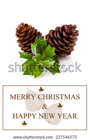 Close up photograph of some christmas decorations