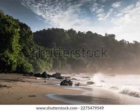 Nuqui choco jungle forest rock ocean beach colombian pacific coast pristine natural lanscape aerial nature palm trees and mountains Royalty-Free Stock Photo #2275479549