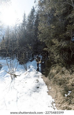 the beautiful snow-covered hiking trails around the plansee in austria photographed with bright sunshine during the day