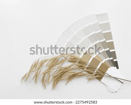 Concept: nature inspires colors. Paint samples for decorating and design. Deciding on colors. Neutral beige and gray color palette.  Royalty-Free Stock Photo #2275492583