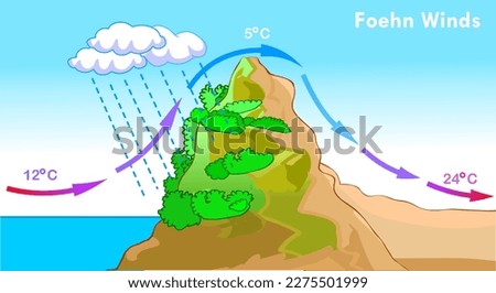 Foehn wind, chinook warm effect. Sea level, mountain. Weather direction. Warming, cooling air heat. Climate formation. Zonda, diablo, nor wester. Geography landforms, elevation. Illustration vector. Royalty-Free Stock Photo #2275501999