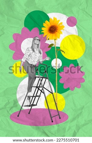 Photo collage artwork minimal picture of charming lady rising stairs growing huge sunflower isolated drawing background