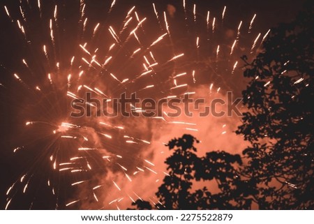 Fireworks and smoke in front of a tree