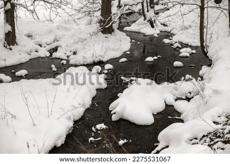 A stream in a snowy landscape. Kyjova Valley in the national park Bohemian Switzerland. Czech republic