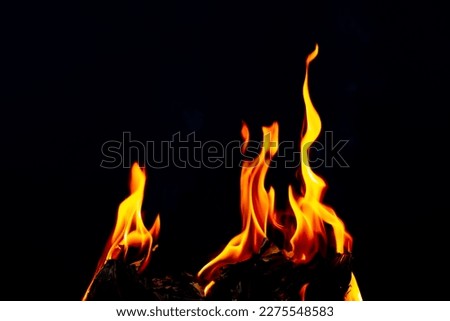 Fire flame glow and burning on dark black background