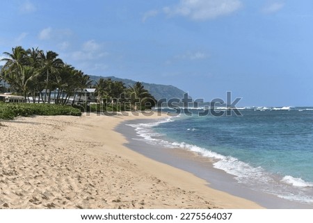 Scenic view of a beautiful tropical island beach with fine golden sand, calm turquoise sea and green palm trees