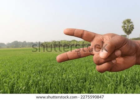 finger sign with wheat farm and nature for deaf