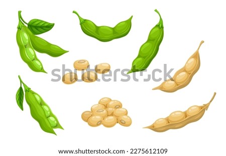 Raw soy, soybeans pods isolated vector set. Green fresh and dry bean husk with seeds and leaves, soya natural vegetable plant. Healthy food cartoon soybeans, organic veggies, harvest Royalty-Free Stock Photo #2275612109