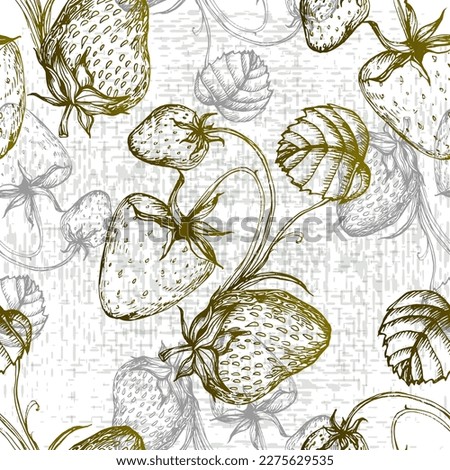 Ripe strawberry, strawberry lobules, flowers and leaves on white background. Vector shabby hand drawn illustration