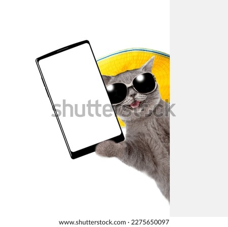 Happy cat wearing  sunglasses and summer hat looks from behind empty board and showing big smartphone with white blank screen. isolated on white background
