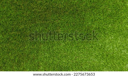 grass real field background light natural green floor outdoor wallpaper Royalty-Free Stock Photo #2275673653