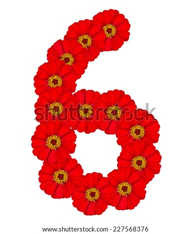 6, flower alphabet isolated on white