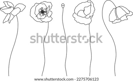 Set of poppies, poppy flowers and logo. Trendy botanical lineart elements. Hand drawn line leaves, branches and blooming. Wedding elegant flowers for invitation, save the date, card. Vector linear des Royalty-Free Stock Photo #2275706123