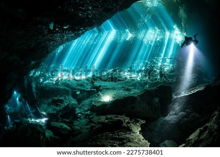 Cenote diving of the Yucatan Royalty-Free Stock Photo #2275738401