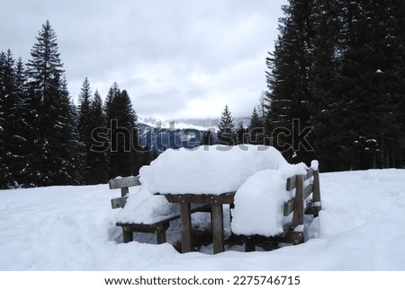 mountain pic nic in the snow