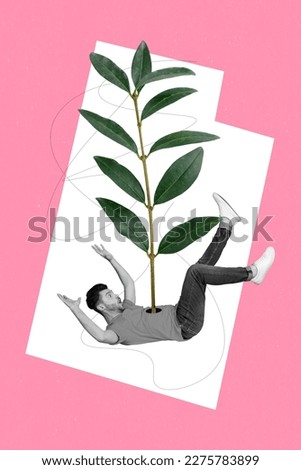 Creative picture pop collage of fantasy young guy falling down have green seeding grow from his abdomen