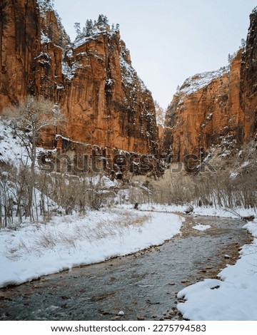 The Virgin River and snow, in Zion National Park, Utah Royalty-Free Stock Photo #2275794583