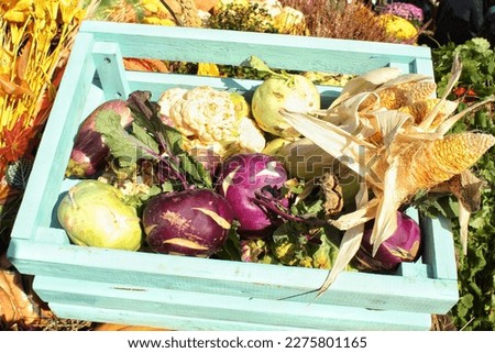 Organic pumpkin and vegetable in wooden box on agricultural fair. Harvesting autumn time concept. Garden fall natural plant. Thanksgiving halloween decor. Festive farm rural background. Vegan food.