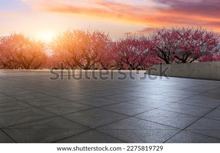 City square floor and plum flower background