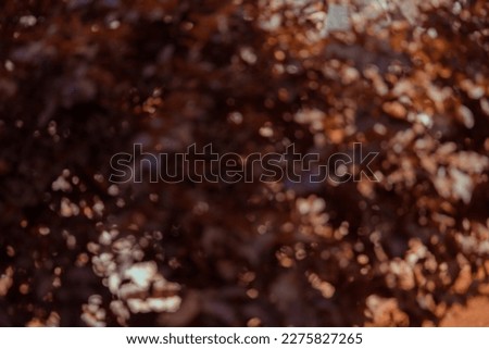 Texture background with blurred autumn vegetation.