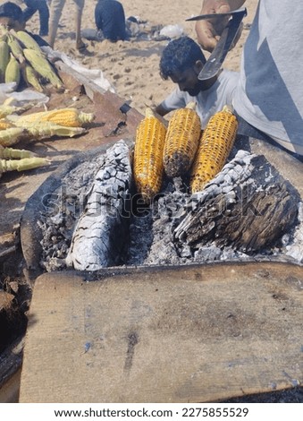 Roasted Corn Images| Shutter stock Photos and Vectors 