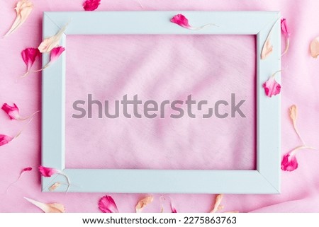 Cozy turquoise empty interior pink wall layout, lavender and petals flat lay with copy space. Mothers Day, Womens Day concept.