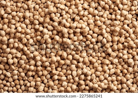 Uniform background made of dry chickpeas, with copy space