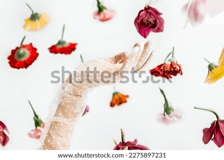 A woman's hand in a transparent glove touches floating flowers in a light spring studio. Beauty and fashion.