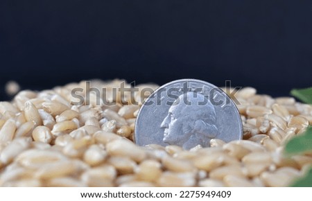 A closeup picture of a US dollor coin with Liberty text, placed against a pile of wheat grains. Inflation in USA concept.