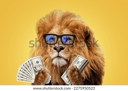 Successful lion boss businessman with glasses holds money dollars on a yellow background. Success, management and business, creative idea