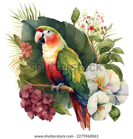cute cartoon parrots illustrations with different palm and monstera leaves in bright colors. Vector illustration of parrot on white background Royalty-Free Stock Photo #2275960061
