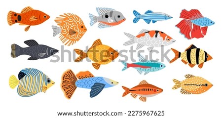 Different aquarium fishes breeds. Little decorative room fishes, barbus, swordfish, neon, cockerel, underwater inhabitants, vector set.jpg
