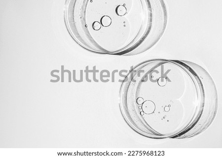 Petri dish. Petri cups with liquid. Kit. Chemical elements, oil, cosmetics. Gel, water, molecules, viruses. Close-up. On a white background. Royalty-Free Stock Photo #2275968123