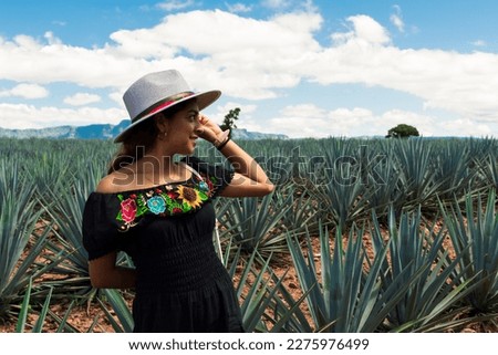 Portrait on the beautiful view of tequila Jalisco, Mexico. Royalty-Free Stock Photo #2275976499
