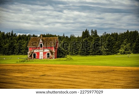 A lonely abandoned house in a field. Abandoned farm house. Abandoned farm house in field. Farmland with abandoned farm house Royalty-Free Stock Photo #2275977029
